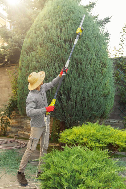 Best Lawn Pest Prevention  in Interlachen, FL